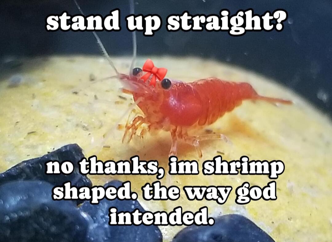 stand up straight