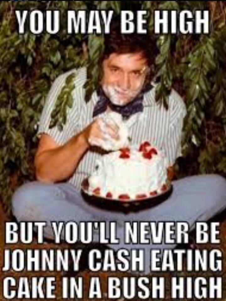 YOU MAY BE HIGH BUT YOU'LL NEVER BE JOHNNY CASH EATING CAKE IN A BUSH HIGH