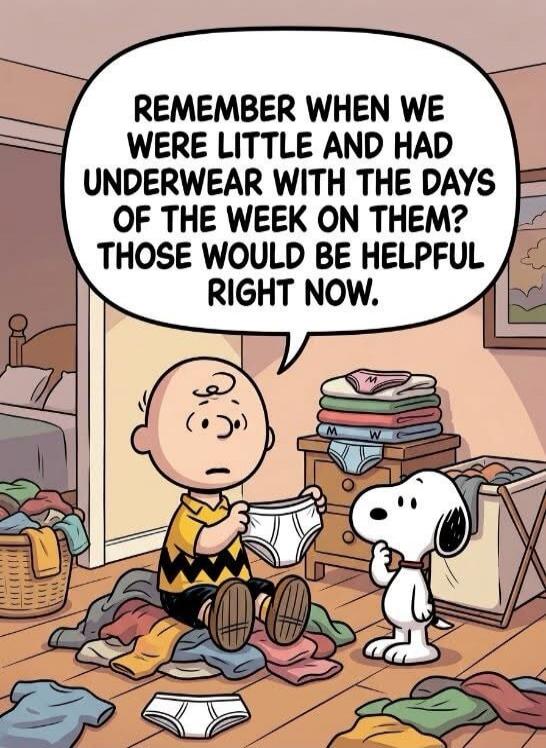 REMEMBER WHEN WE WERE LITTLE AND HAD UNDERWEAR WITH THE DAYS OF THE WEEK ON THEM? THOSE WOULD BE HELPFUL RIGHT NOW.