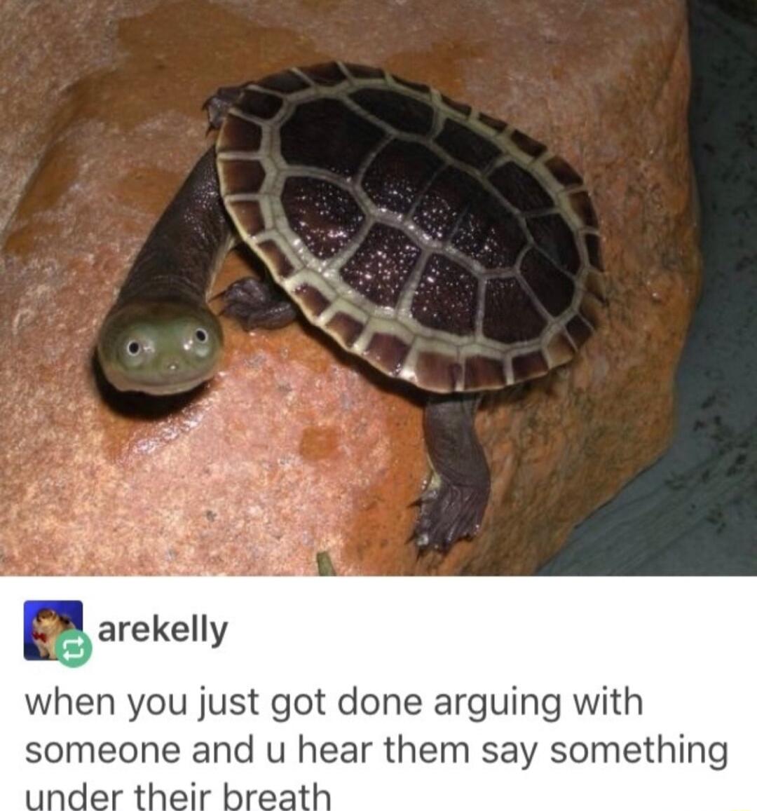 garekelly when you just got done arguing with someone and u hear them say something