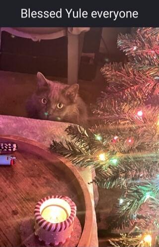 Blessed Yule everyone