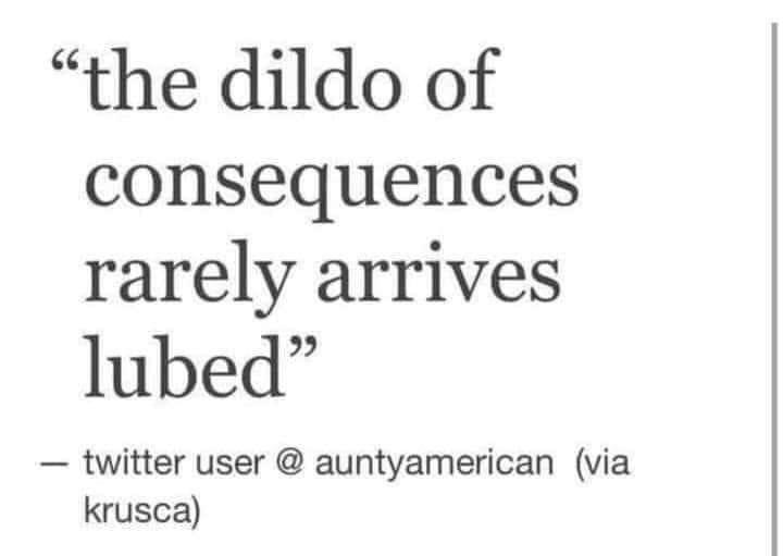 the dildo of consequences rarely arrives lubed twitter user auntyamerican via krusca