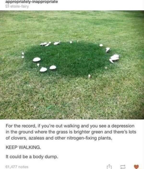 For the record if youre out walking and you see a depression in the ground where the grass is brighter green and theres lots of clovers azaleas and other nitrogen fixing plants KEEP WALKING It could be a body dump