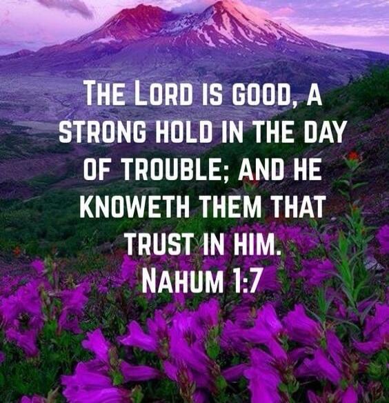 THE LORD IS GOOD, A STRONG HOLD IN THE DAY OF TROUBLE; AND HE KNOWETH THEM THAT TRUST IN HIM. NAHUM 1:7