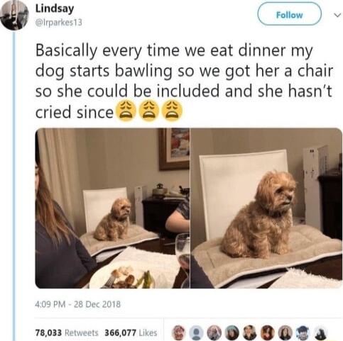 w Lindsay Y Basically every time we eat dinner my dog starts bawling so we got her a chair s0 she could be included and she hasnt cried since Tom e 3050 B L OS8O 2