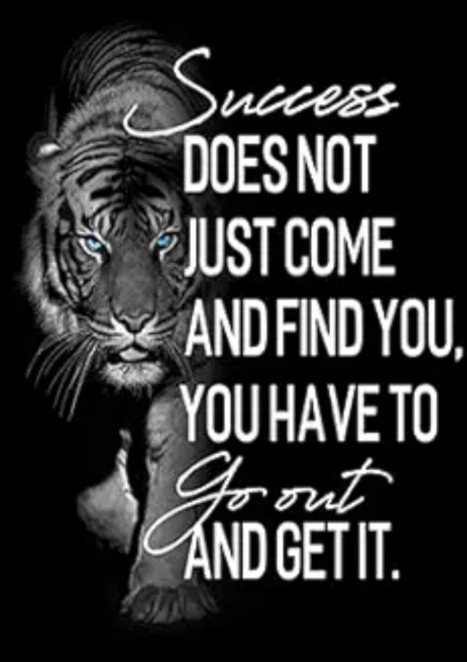 Success DOES NOT JUST COME AND FIND YOU, YOU HAVE TO Go out AND GET IT.