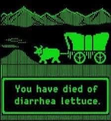 You have died of diarrhea lettuce.