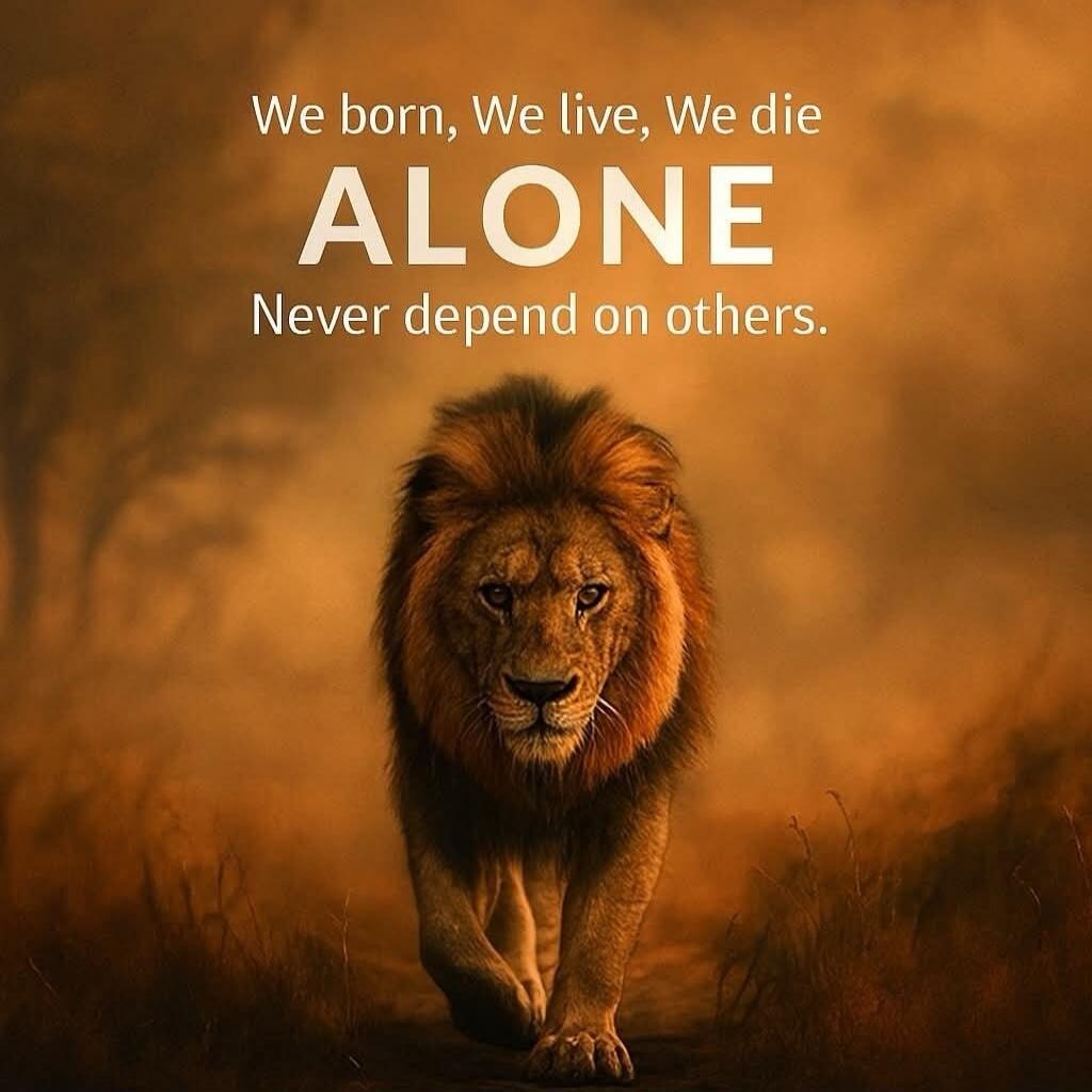We born, We live, We die ALONE Never depend on others.