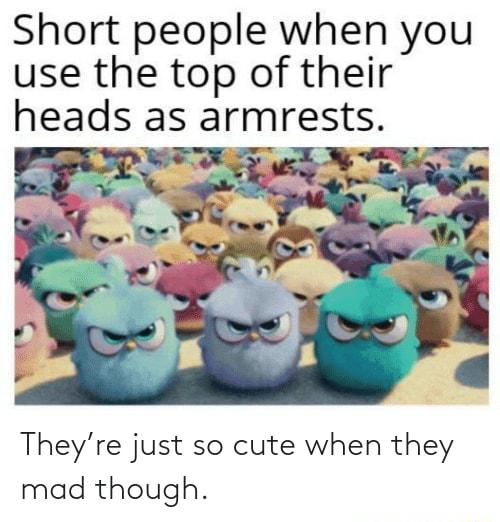 Short people when you use the top of their heads as armrests Theyre just so cute when they mad though
