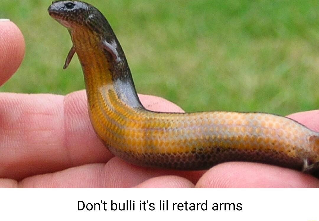 Dont bulliits lil retard arms