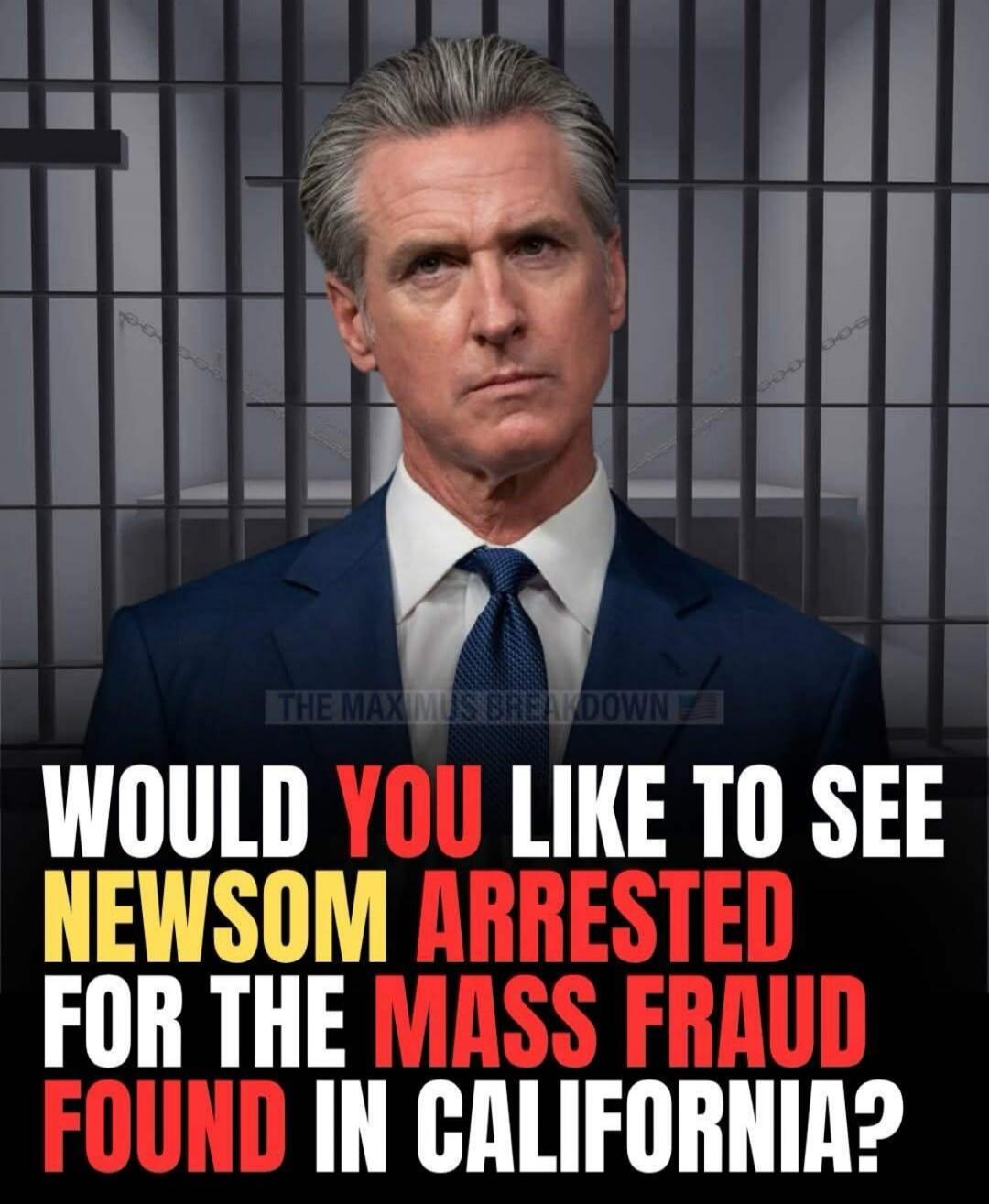 WOULD YOU LIKE TO SEE NEWSOM ARRESTED FOR THE MASS FRAUD FOUND IN CALIFORNIA? THE MAX MUS BREAKDOWN