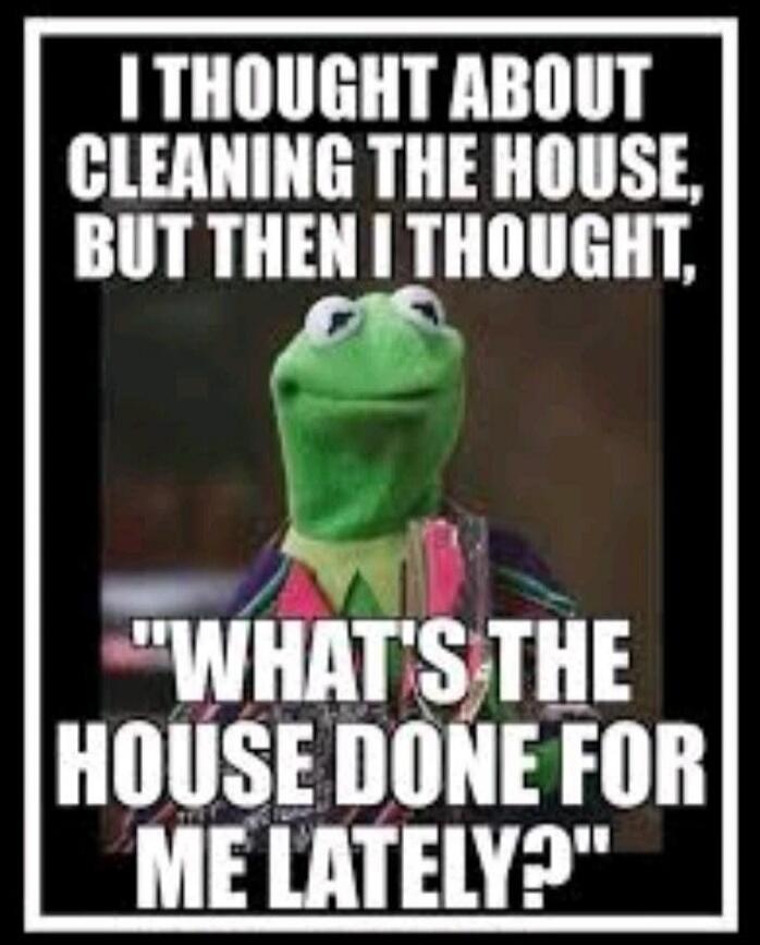 I THOUGHT ABOUT CLEANING THE HOUSE, BUT THEN I THOUGHT, 