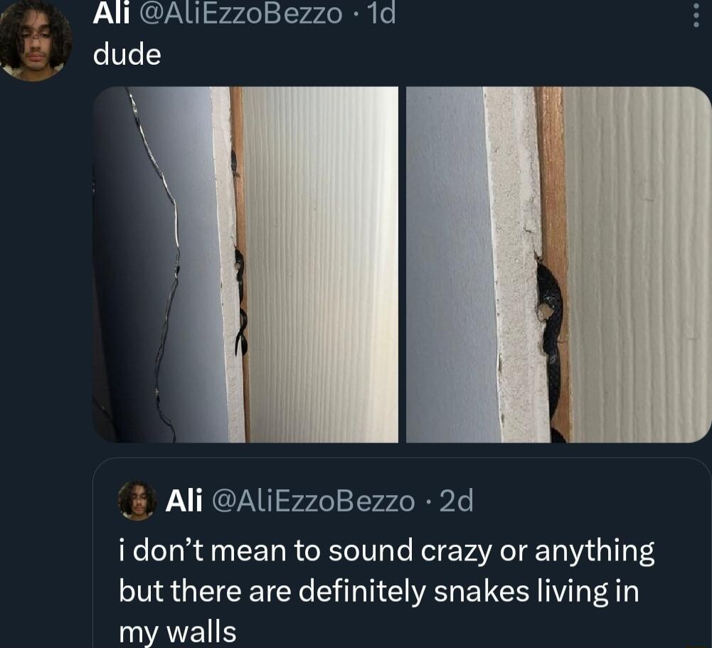 LURCRU r24elc 7 iy o dude 5 Ali AliEzzoBezzo 2d i dont mean to sound crazy or anything but there are definitely snakes living in VAL