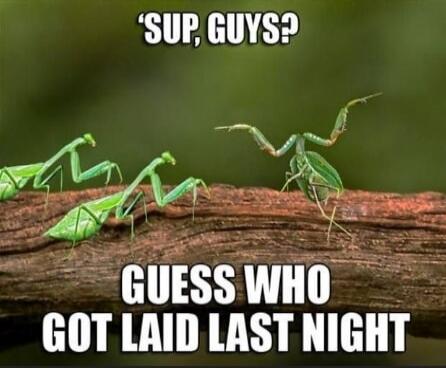 'SUP, GUYS? GUESS WHO GOT LAID LAST NIGHT