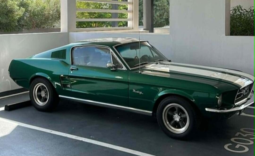 Mustang G030