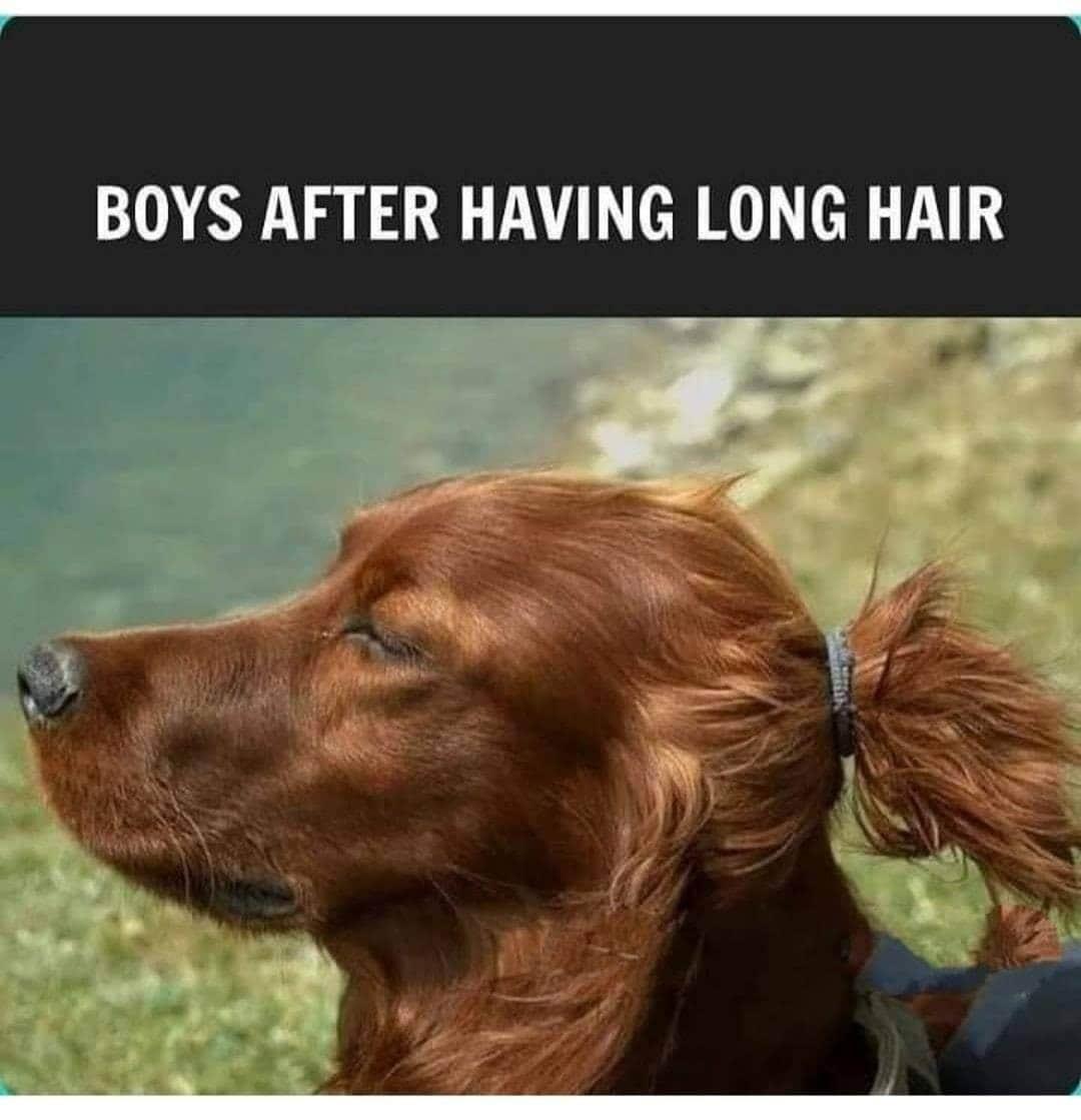 BOYS AFTER HAVING LONG HAIR