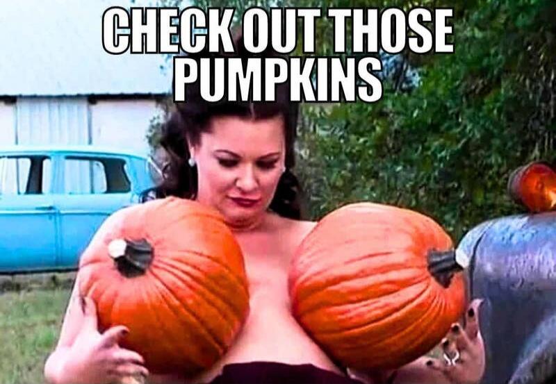 CHECK OUT THOSE PUMPKINS