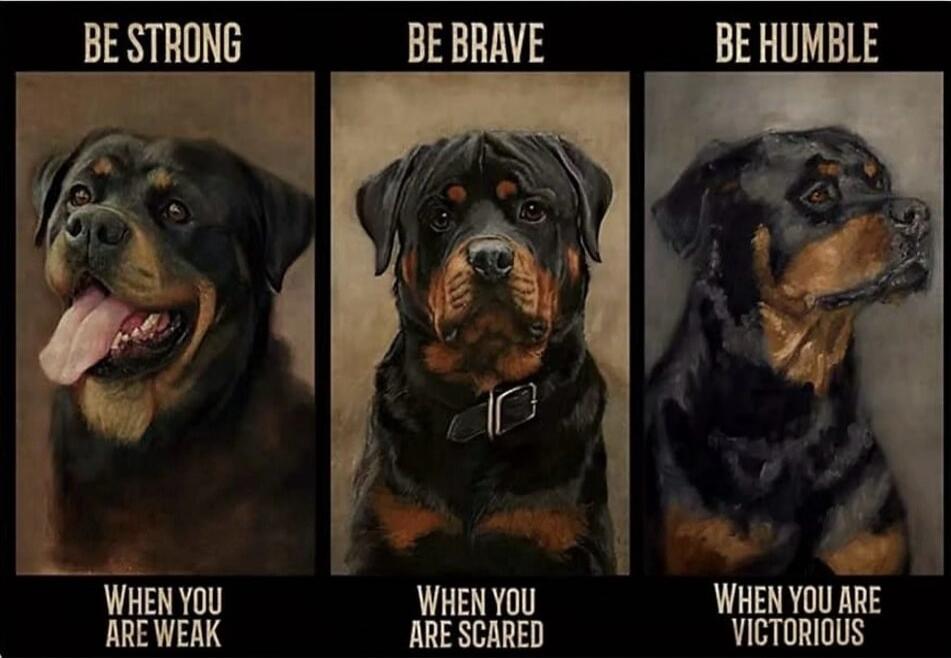 BE STRONG
WHEN YOU ARE WEAK
BE BRAVE
WHEN YOU ARE SCARED
BE HUMBLE
WHEN YOU ARE VICTORIOUS