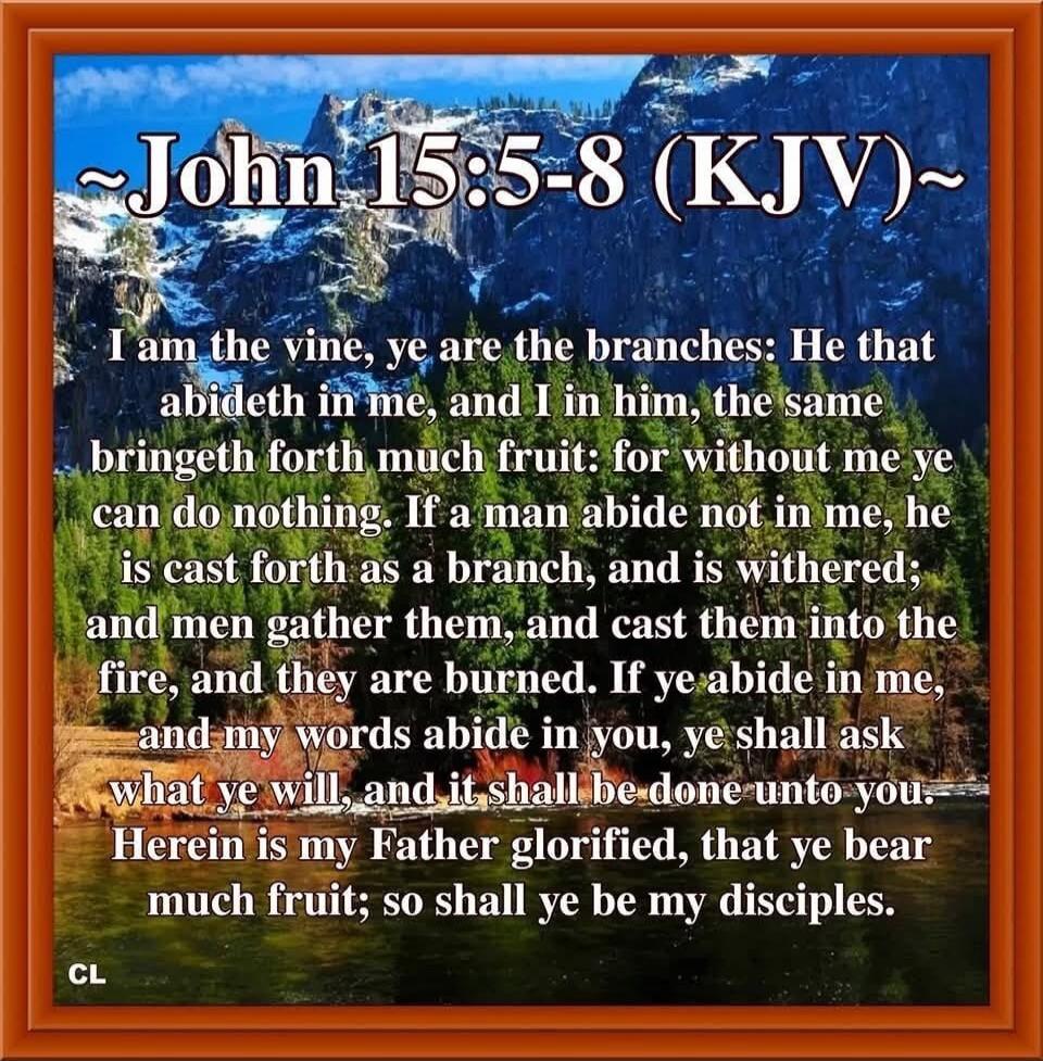John 15:5-8 (KJV) I am the vine, ye are the branches: He that abideth in me, and I in him, the same bringeth forth much fruit: for without me ye can do nothing. If a man abide not in me, he is cast forth as a branch, and is withered; and men gather them, and cast them into the fire, and they are burned. If ye abide in me, and my words abide in you,