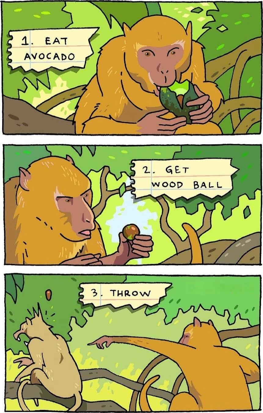 1. EAT AVOCADO
2. GET WOOD BALL
3. THROW