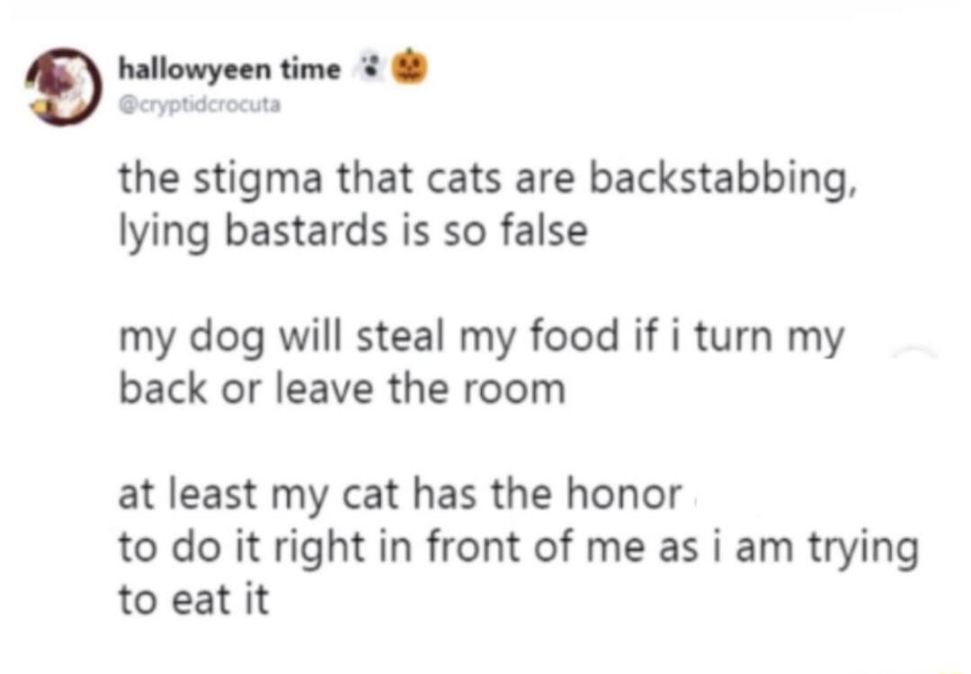 The stigma that cats are backstabbing, lying bastards is so false. My dog will steal my food if I turn my back or leave the room. At least my cat has the honor to do it right in front of me as I am trying to eat it.