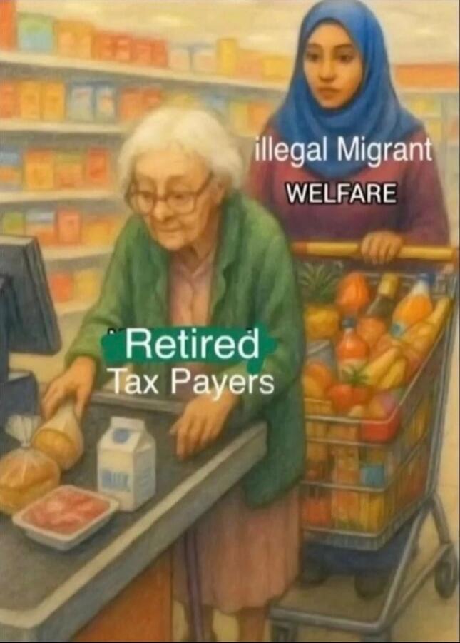 Retired Tax Payers illegal Migrant WELFARE