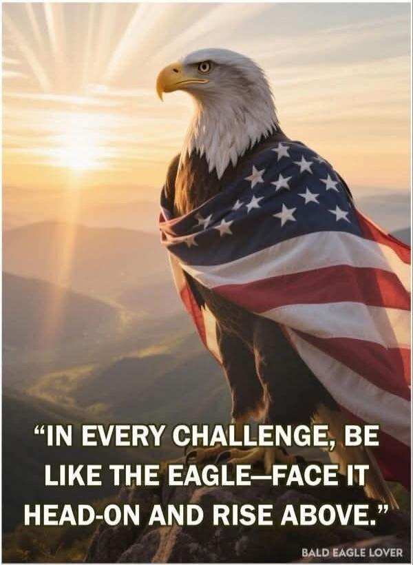 IN EVERY CHALLENGE, BE LIKE THE EAGLE—FACE IT HEAD-ON AND RISE ABOVE. BALD EAGLE LOVER