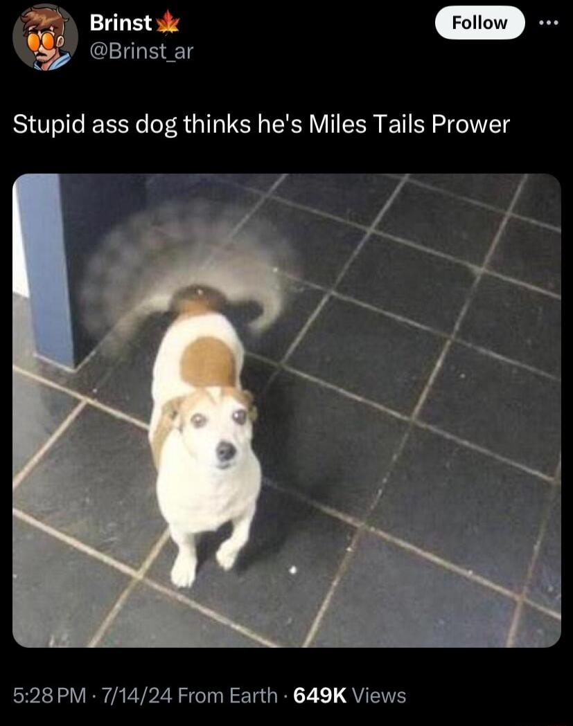 a Brinst s Brinstar Stupid ass dog thinks hes Miles Tails Prower 528PM 71424 From Earth 649K Views