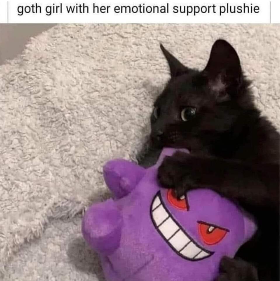 goth girl with her emotional support plushie