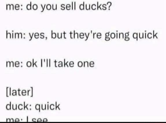 me: do you sell ducks?
him: yes, but they're going quick
me: ok I'll take one

[later]
duck: quick
me: I see