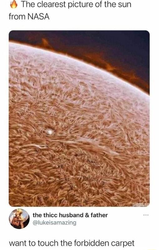 The clearest picture of the sun from NASA the thicc husband father lukeisamazing want to touch the forbidden carpet