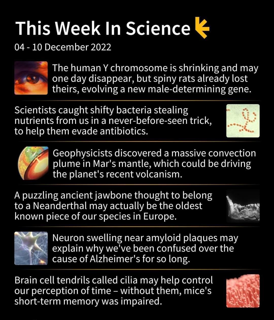 This Week In Science 04 10 December 2022 The human Y chromosome is shrinking and may one day disappear but spiny rats already lost theirs evolving a new male determining gene Scientists caught shifty bacteria stealing nutrients from us in a never before seen trick to help them evade antibiotics Geophysicists discovered a massive convection plume in Mars mantle which could be driving the planets re