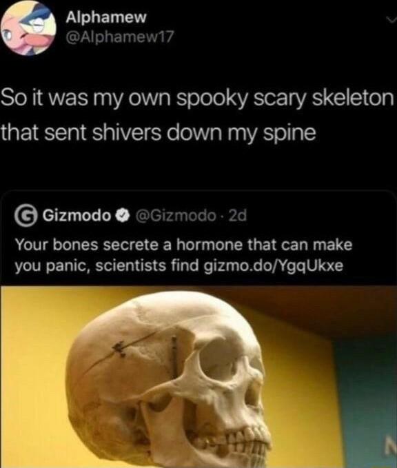 Alphamew Alphamew17 So it was my own spooky scary skeleton that sent shivers down my spine Gizmodo Gizmodo 2d Your bones secrete a hormone that can make you panic scientists find gizmodoYgqUkxe