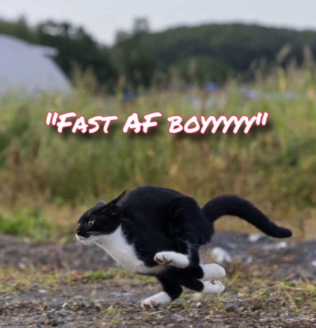 FAST AF BOYYYY