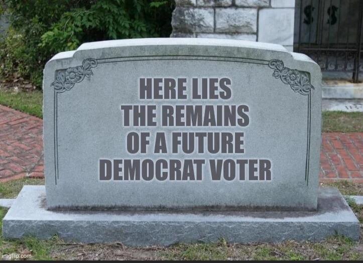 HERE LIES THE REMAINS OF A FUTURE DEMOCRAT VOTER