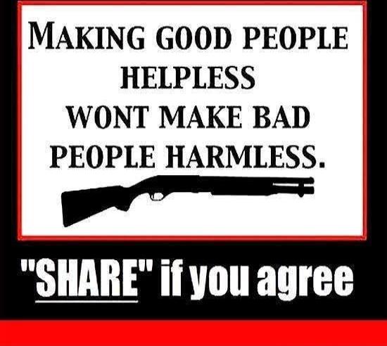 MAKING GOOD PEOPLE HELPLESS WONT MAKE BAD PEOPLE HARMLESS. 