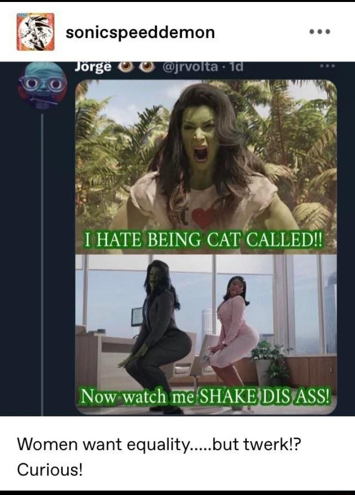 sonicspeeddemon o k N7 HATE BEING CAT CALLED u watch T m SH ll DISJASS Women want equalitybut twerk Curious