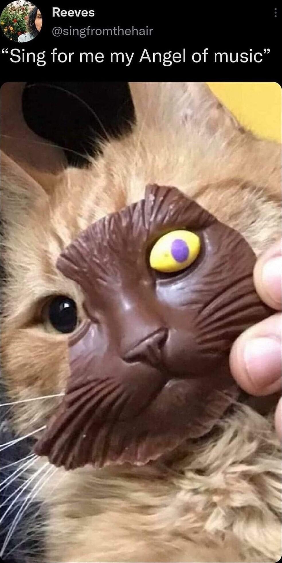 3 6 EETER singfromthehair Sing for me my Angel of music