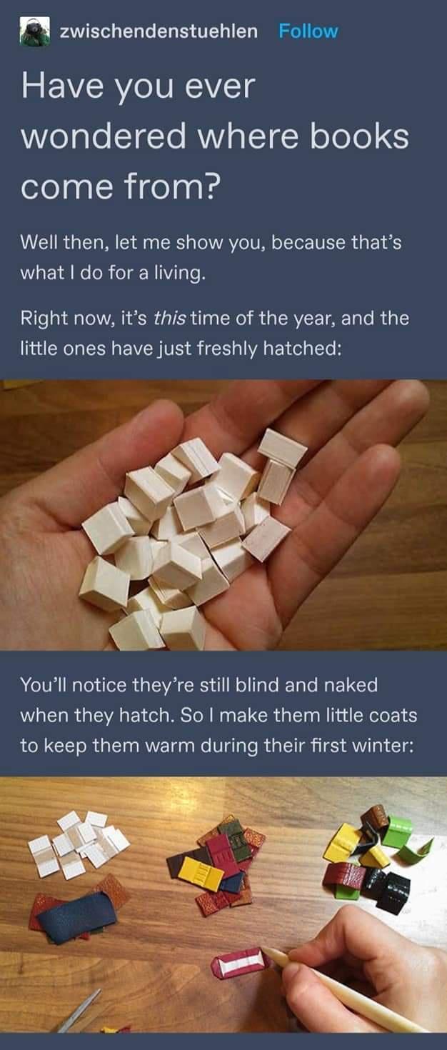 n zwischendenstuehlen Follow Have you ever wondered where books come from Well then let me show you because thats what do for a living Right now its this time of the year and the little ones have just freshly hatched Youll notice theyre still blind and naked when they hatch So make them little coats to keep them warm during their first winter