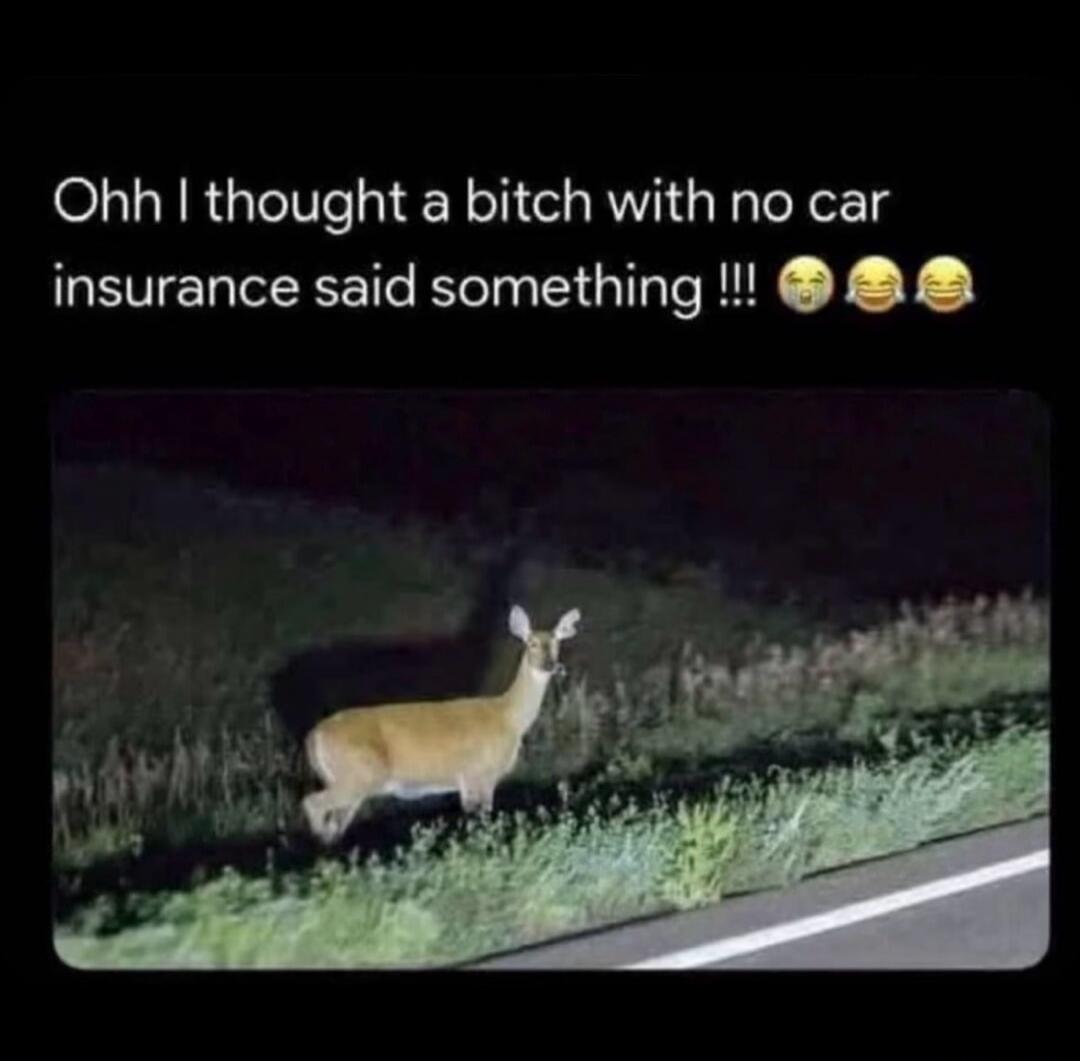 Ohh I thought a bitch with no car insurance said something !!! 😂😂😂