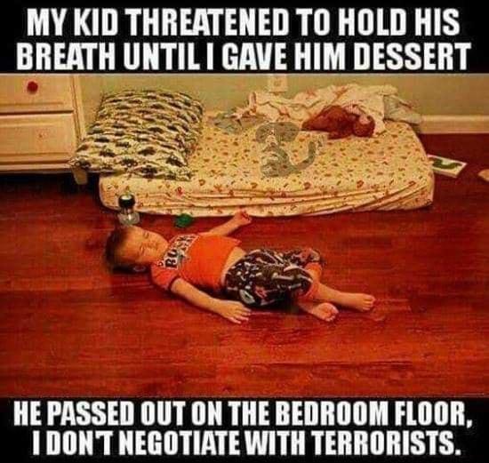 MY KID THREATENED TO HOLD HIS BREATH UNTIL GAVE HIM DESSERT HEPASSED OUT ON THE BEDROOM FLOOR I1DONT NEGOTIATE WITH TERRORISTS