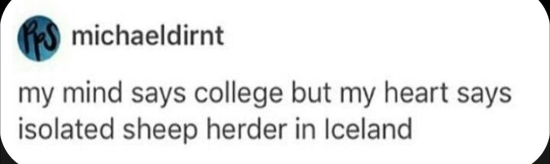 michaeldirnt my mind says college but my heart says kisolated sheep herder in Iceland P