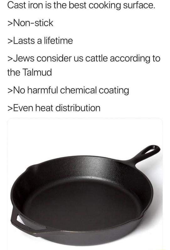 Cast iron is the best cooking surface Non stick Lasts alifetime Jews consider us cattle according to the Talmud No harmful chemical coating Even heat distribution
