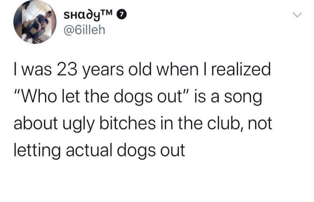 sHady 6illeh was 23 years old when realized Who let the dogs out is a song about ugly bitches in the club not letting actual dogs out