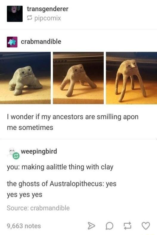 transgenderer pip crabmandible wonder if my ancestors are smilling apon me sometimes 2 weepingbird ping you making aalittle thing with clay the ghosts of Australopithecus yes yes yes yes 9663 notes