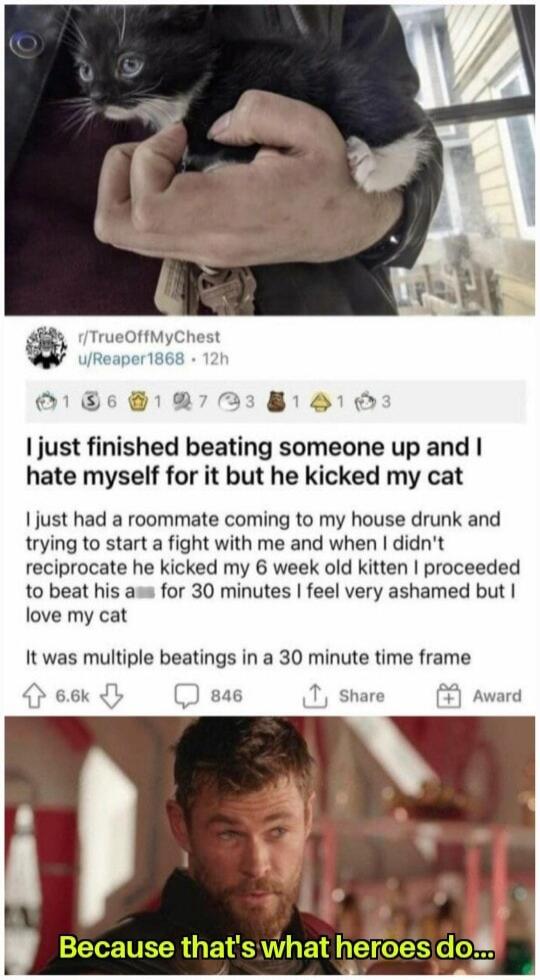 just finished beating someone up and hate myself for it but he kicked my cat I just had a roommate coming to my house drunk and trying to start a fight with me and when didnt reciprocate he kicked my 6 week old kitten proceeded to beat his ass for 30 minutes feel very ashamed but love my cat It was multiple beatings in a 30 minute time fra 66k 46 T Share