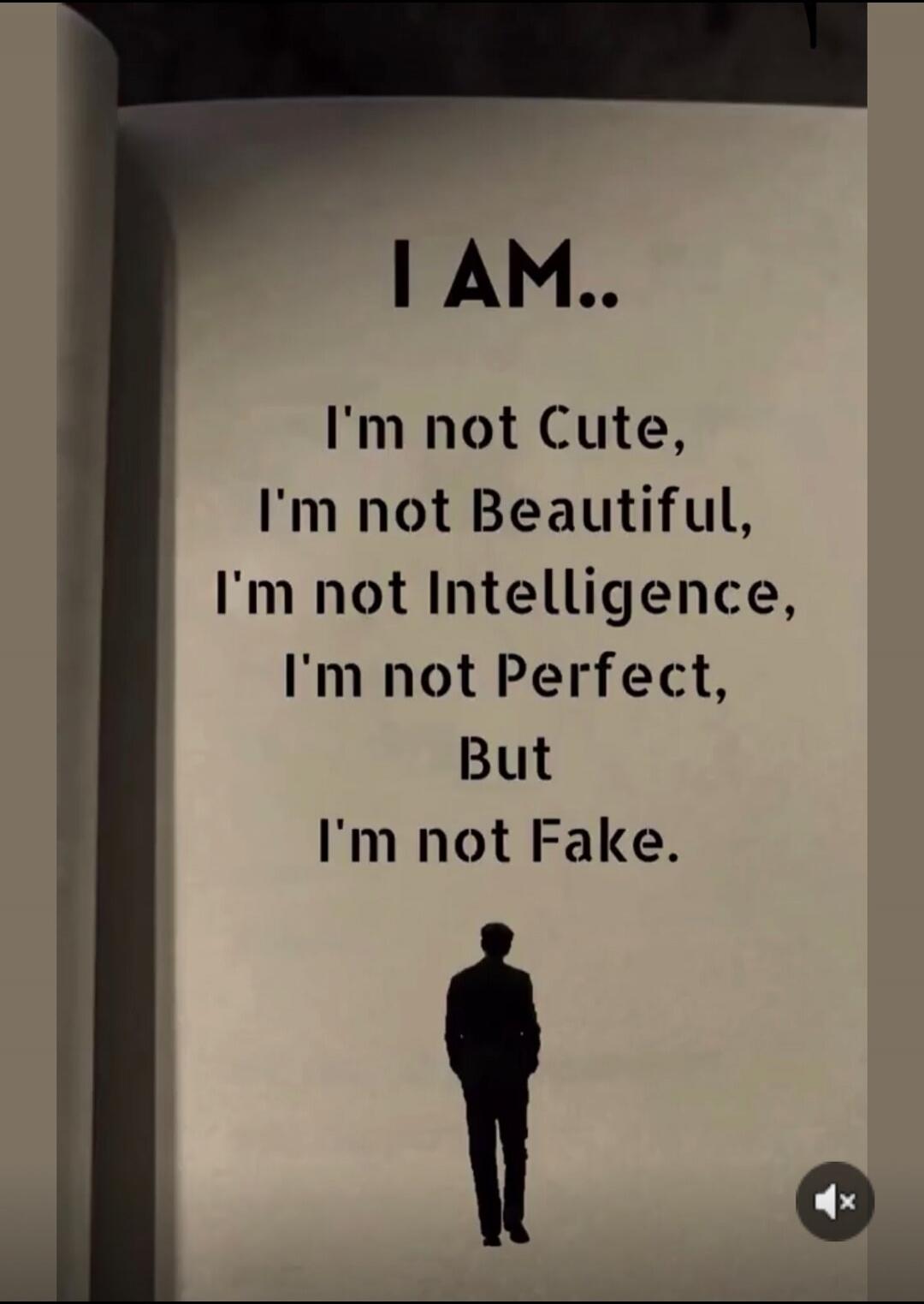 I AM.. I'm not Cute, I'm not Beautiful, I'm not Intelligence, I'm not Perfect, But I'm not Fake.