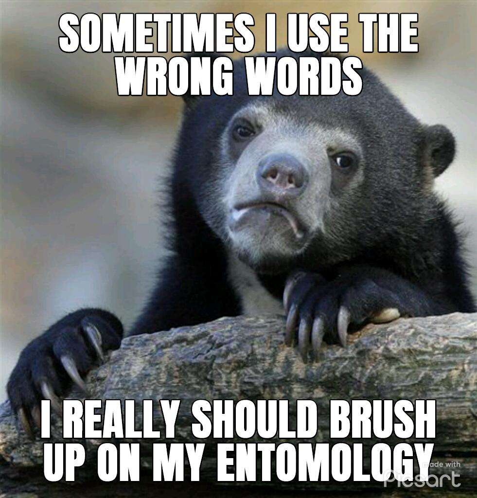 I IIEllllY Slllllllll BIIIISII UP ONMY ENTOMOLOGY