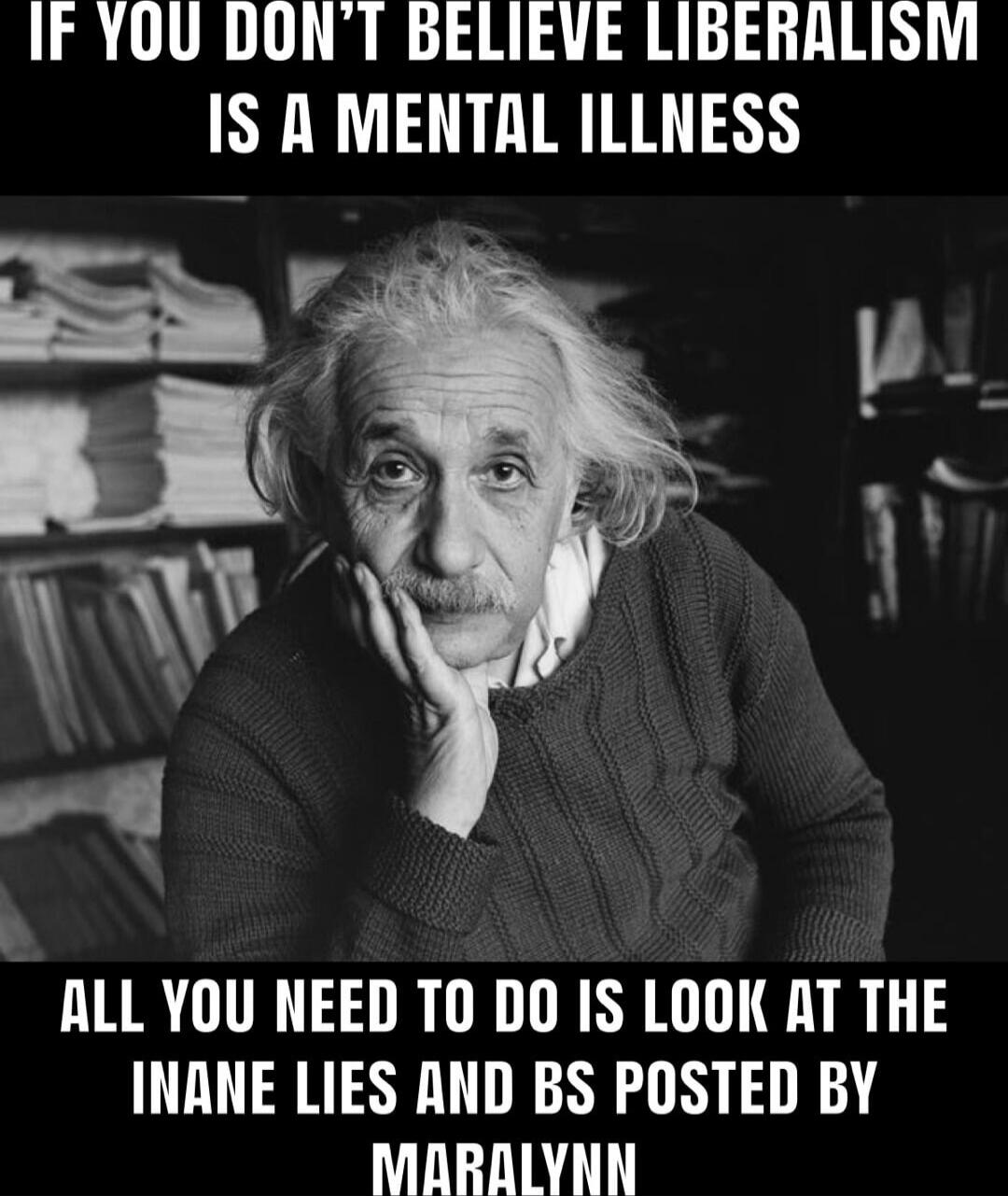 IF YOU DON'T BELIEVE LIBERALISM IS A MENTAL ILLNESS ALL YOU NEED TO DO IS LOOK AT THE INANE LIES AND BS POSTED BY MARALYNN