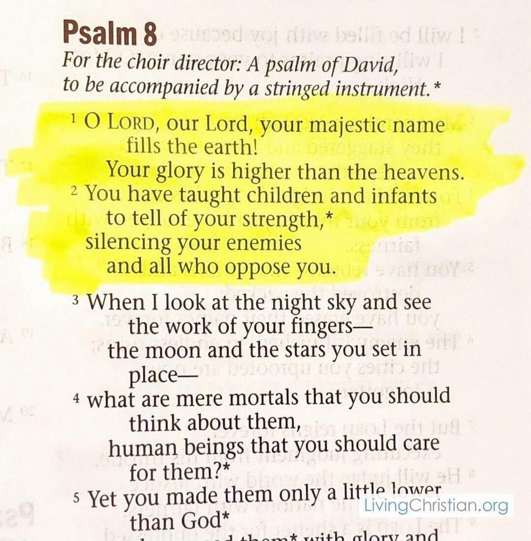 Psalm 8 For the choir director: A psalm of David, to be accompanied by a stringed instrument. 1 O LORD, our Lord, your majestic name fills the earth! Your glory is higher than the heavens. 2 You have taught children and infants to tell of your strength, silencing your enemies and all who oppose you. 3 When I look at the night sky and see the work o